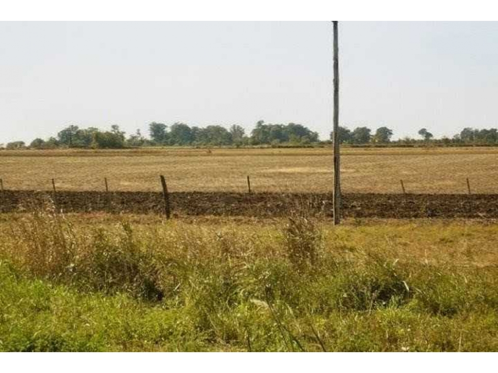 CAMPO 830 HECTAREAS, AGRICOLA, BARRANCAS, SANTA FE, ARGENTINA - 4