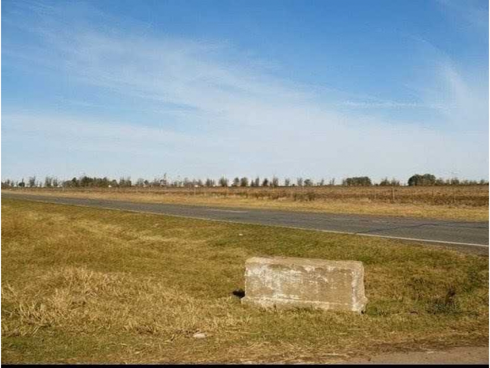 CAMPO 830 HECTAREAS, AGRICOLA, BARRANCAS, SANTA FE, ARGENTINA - 5