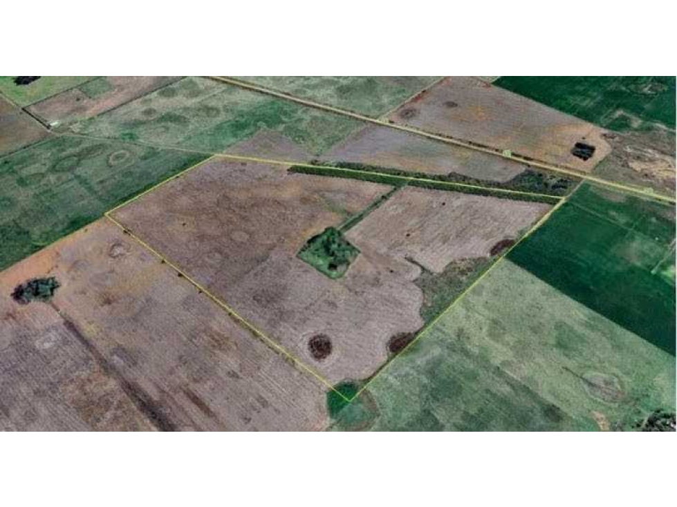 CAMPO 83 HECTAREAS, AGRICOLA, SALADILLO, BUENOS AIRES, ARGENTINA - 3