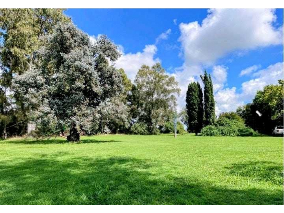 CAMPO 84 HECTAREAS, MIXTO, BOLIVAR, BUENOS AIRES, ARGENTINA - 4