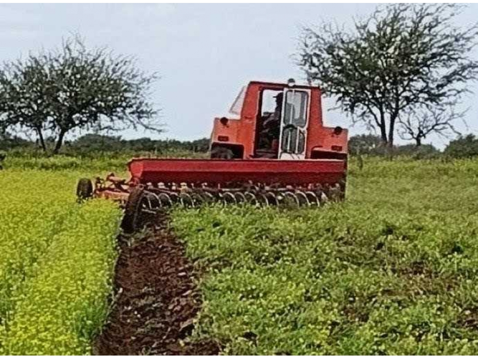 CAMPO 850 HECTAREAS, MIXTO, PUAN, BUENOS AIRES, ARGENTINA - 4