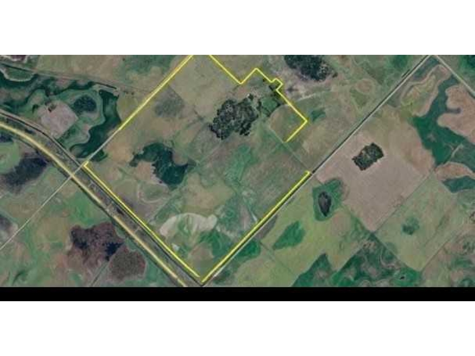 CAMPO 85 HECTAREAS, MIXTO, BOLIVAR, BUENOS AIRES, ARGENTINA - 2