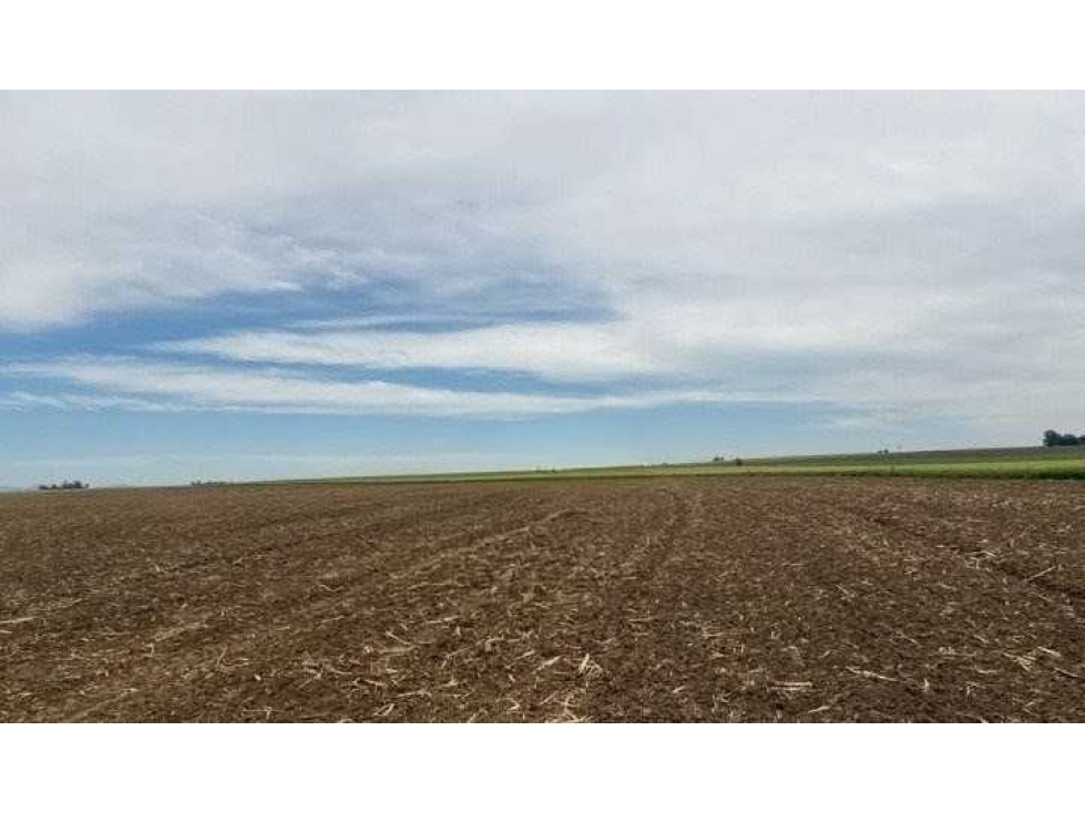 CAMPO 865 HECTAREAS, AGRICOLA, CORONEL SUAREZ, BUENOS AIRES, ARGENTINA - 4