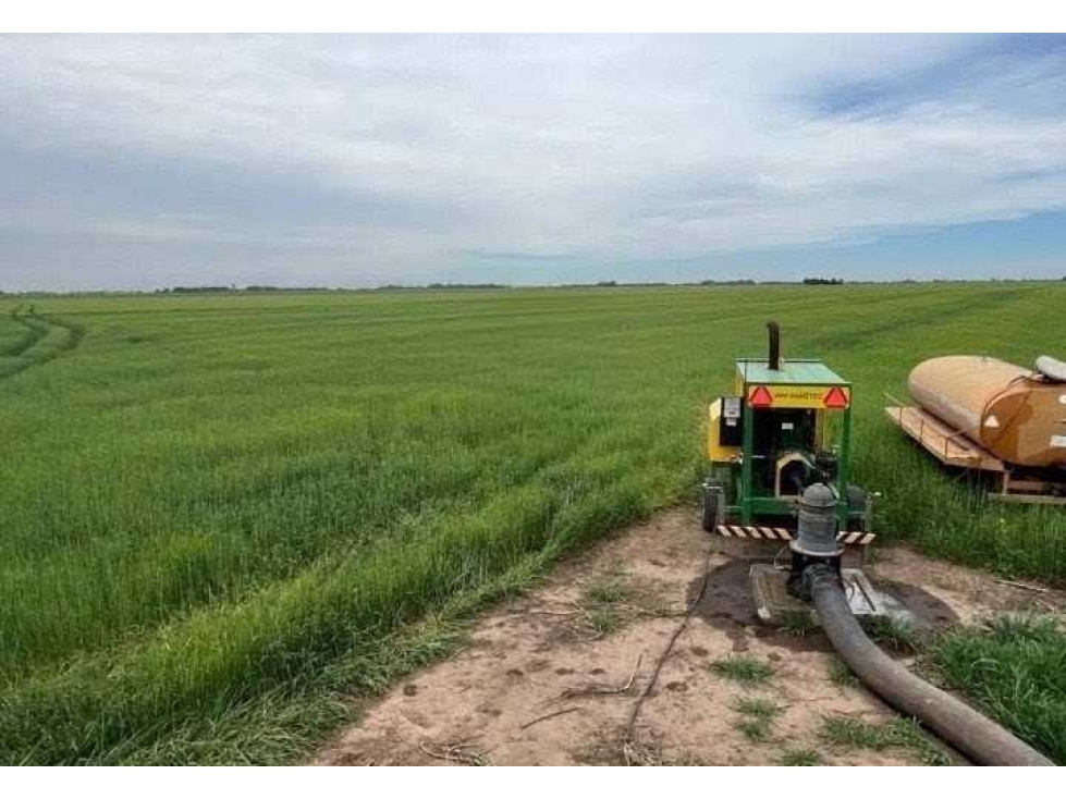 CAMPO 865 HECTAREAS, AGRICOLA, CORONEL SUAREZ, BUENOS AIRES, ARGENTINA - 5