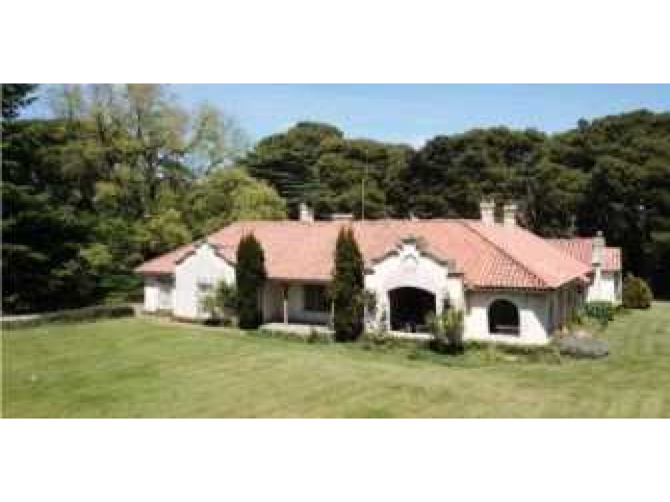 CAMPO 8722 HECTARES MIXTO, TORNQUIST, BUENOS AIRES, ARGENTINA - 1