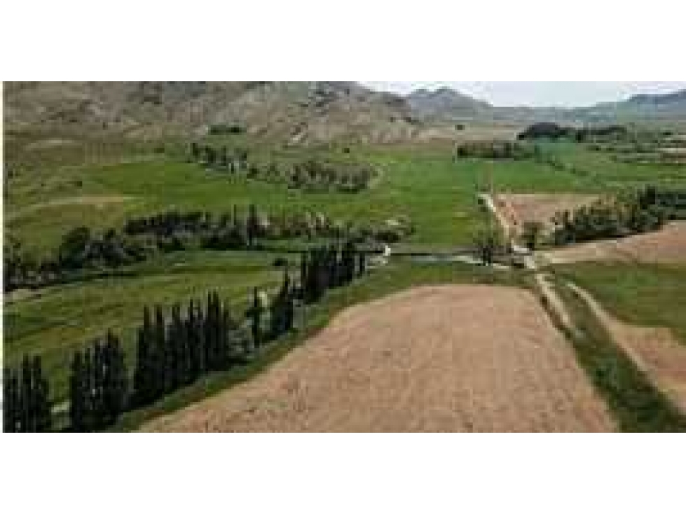 CAMPO 8722 HECTARES MIXTO, TORNQUIST, BUENOS AIRES, ARGENTINA - 2