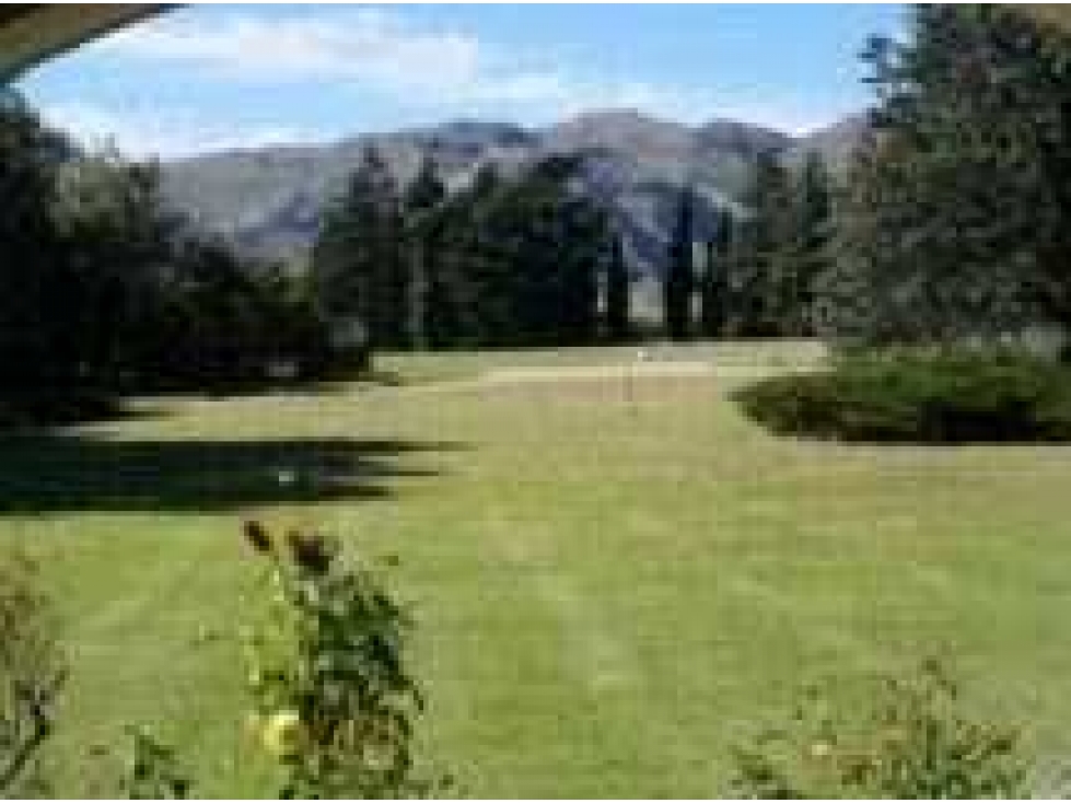 CAMPO 8722 HECTARES MIXTO, TORNQUIST, BUENOS AIRES, ARGENTINA - 3