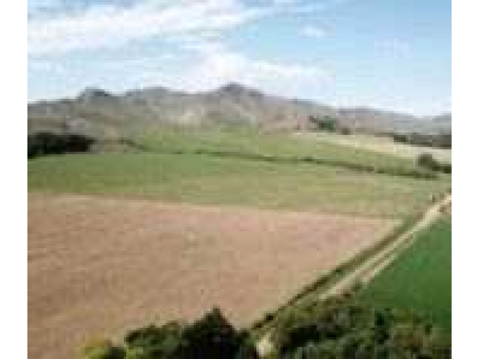 CAMPO 8722 HECTARES MIXTO, TORNQUIST, BUENOS AIRES, ARGENTINA - 4