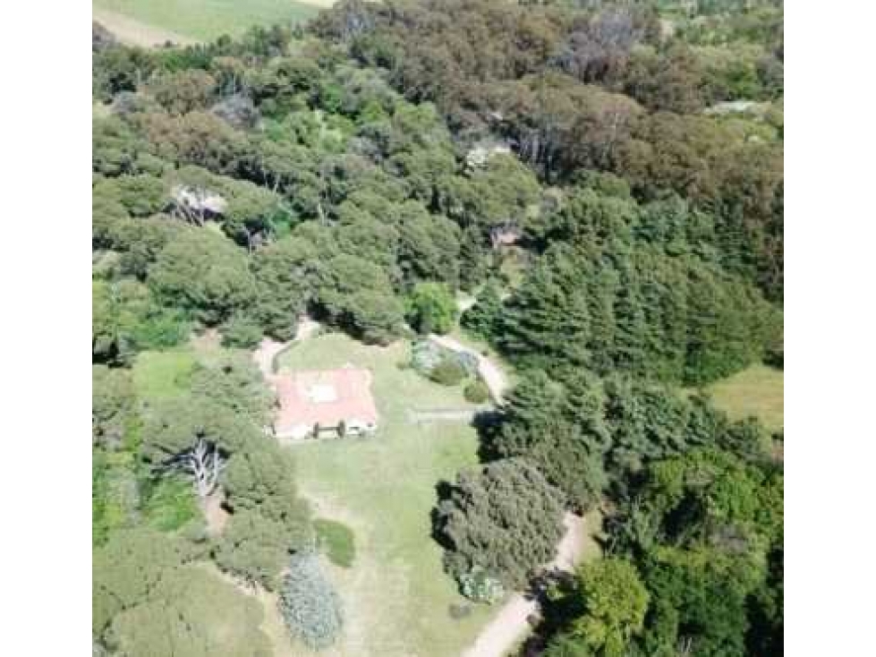 CAMPO 8722 HECTARES MIXTO, TORNQUIST, BUENOS AIRES, ARGENTINA - 6