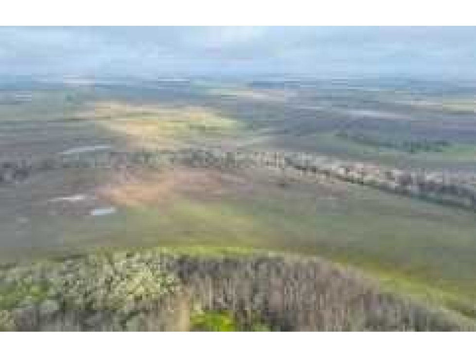 CAMPO 881 HECTAREAS, GANADERO, PUNTA INDIO, BUENOS AIRES, ARGENTINA - 3