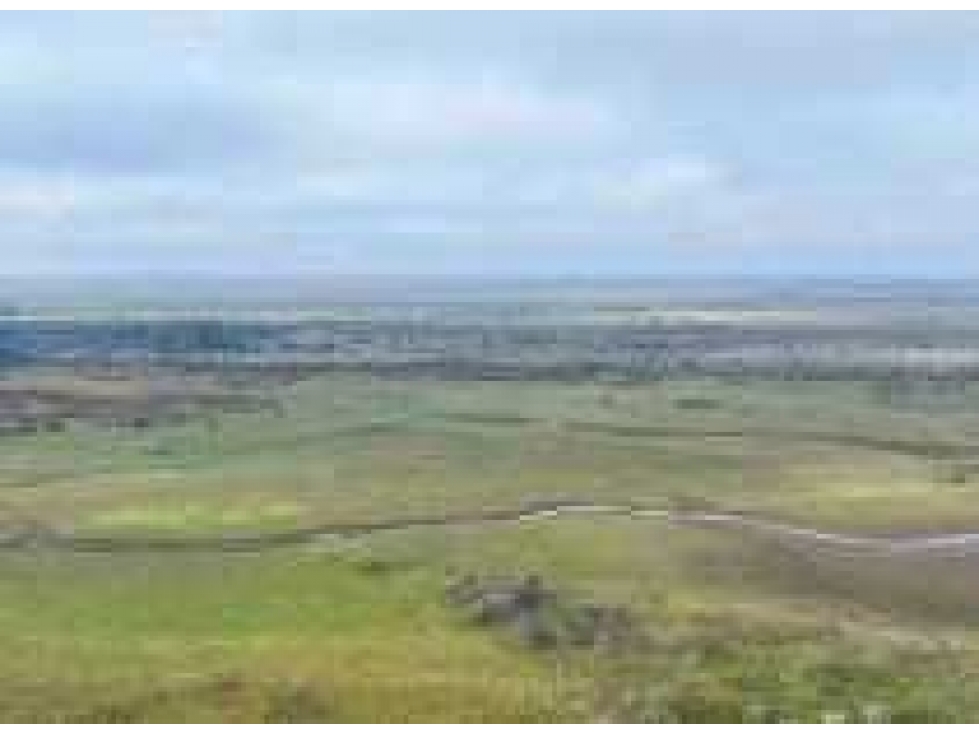 CAMPO 881 HECTAREAS, GANADERO, PUNTA INDIO, BUENOS AIRES, ARGENTINA - 4