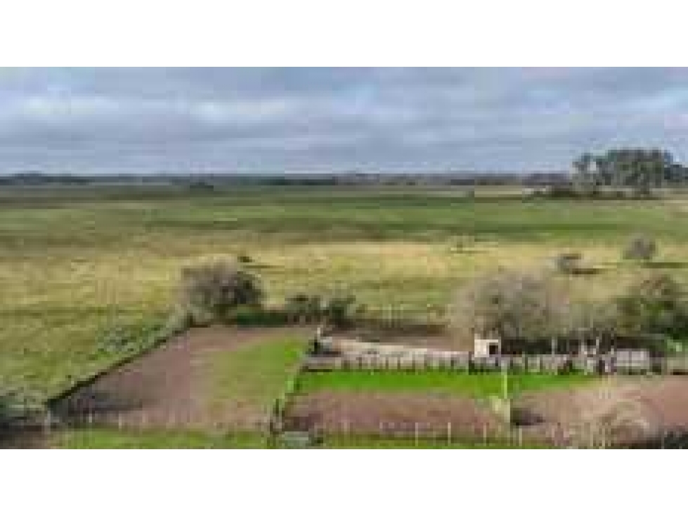 CAMPO 881 HECTAREAS, GANADERO, PUNTA INDIO, BUENOS AIRES, ARGENTINA - 6