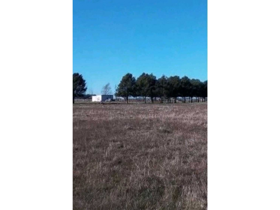CAMPO 885 HECTAREAS, GANADERO, GENERAL ALVEAR, BUENOS AIRES, ARGENTINA - 2