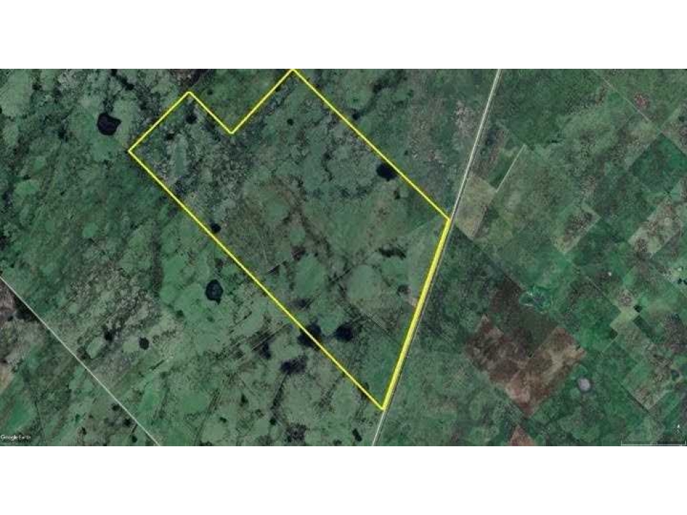 CAMPO 886 HECTAREAS,GANADERO, CROTTO, BOLIVAR, BUENOS AIRES, ARGENTINA - 3