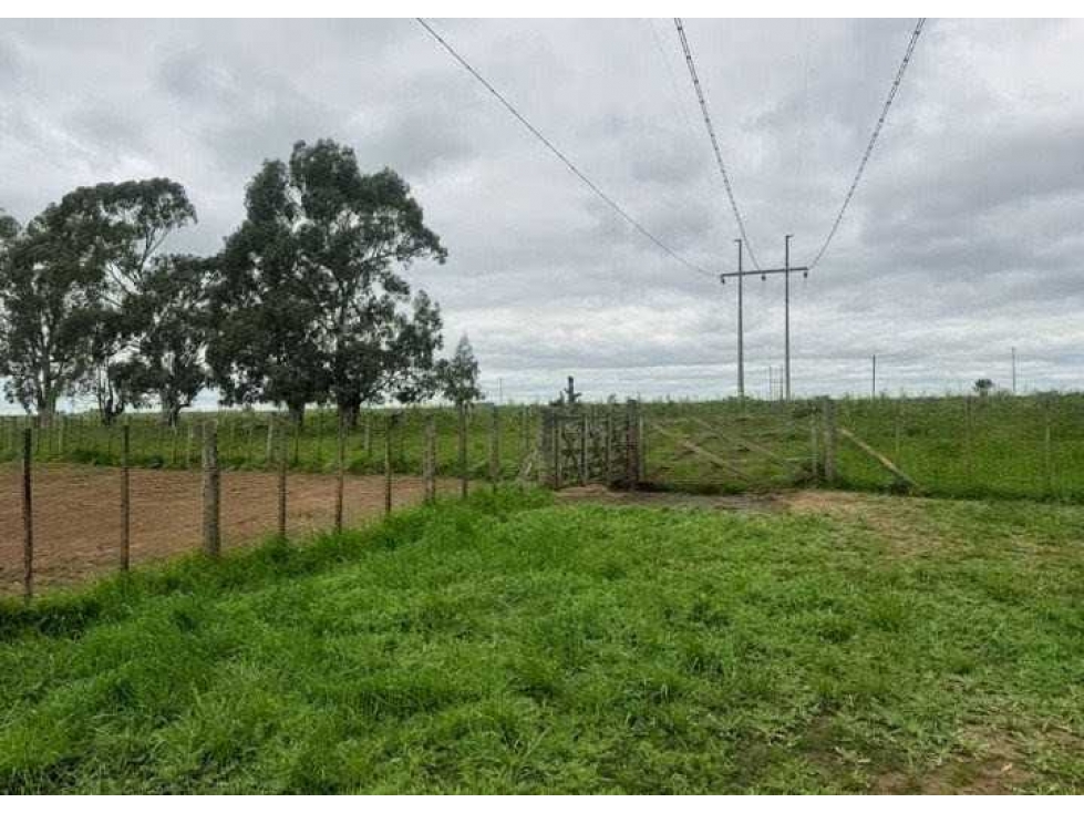 CAMPO 888 HECTAREAS, GANADERO, OLAVARRIA, BUENOS AIRES, ARGENTINA - 2