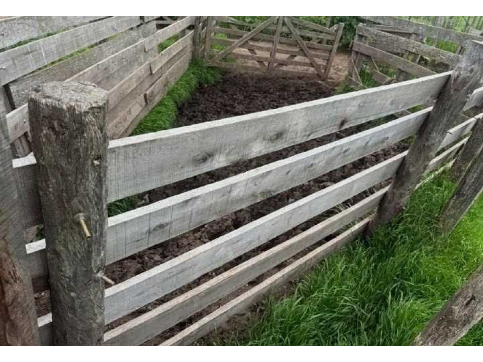 CAMPO 888 HECTAREAS, GANADERO, OLAVARRIA, BUENOS AIRES, ARGENTINA - 3