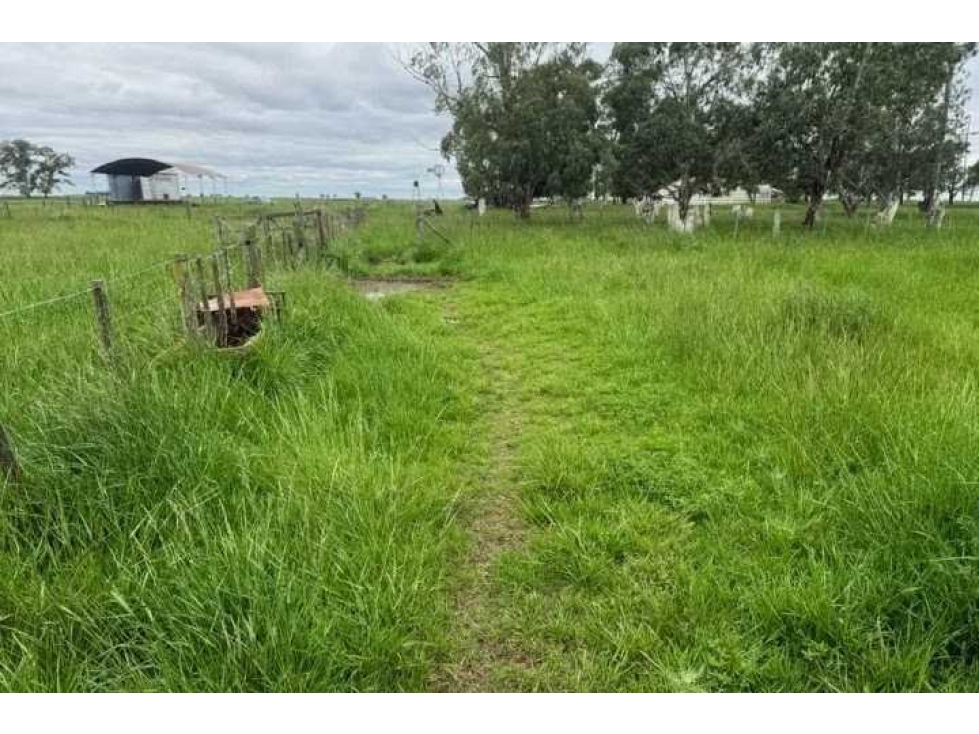 CAMPO 888 HECTAREAS, GANADERO, OLAVARRIA, BUENOS AIRES, ARGENTINA - 4