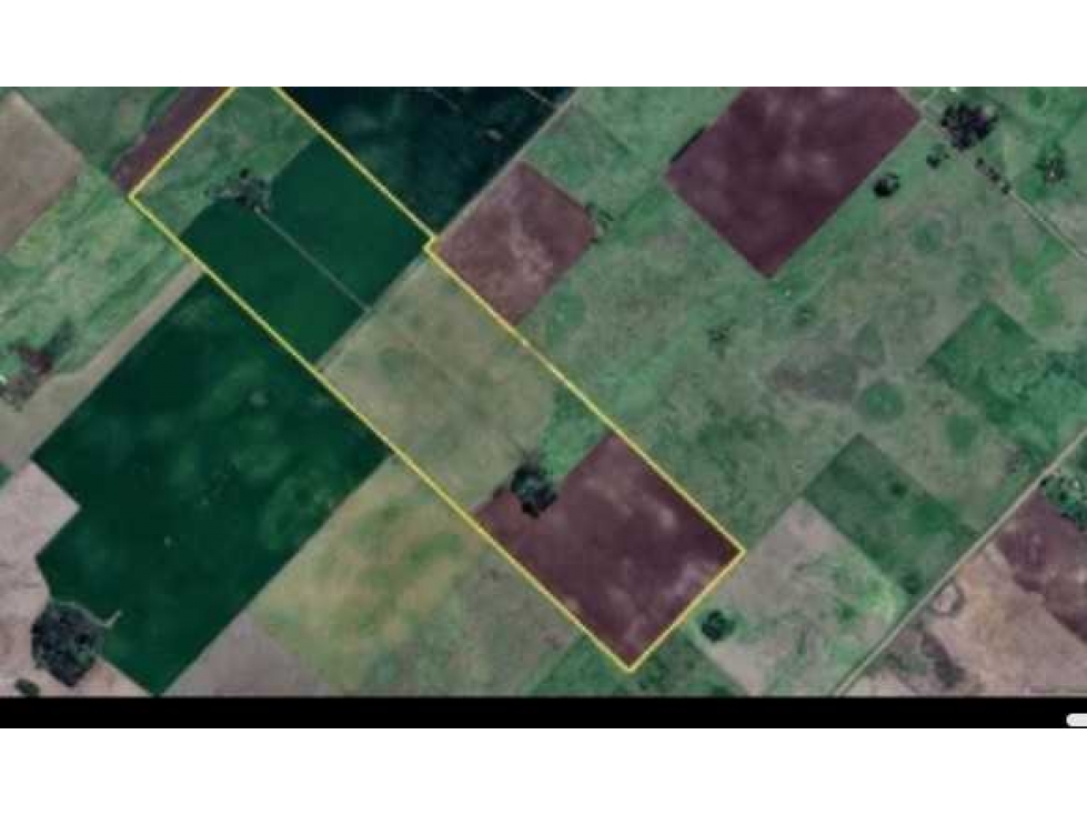 CAMPO 88 HAS, AGRICOLA, REYNOSO, SALADILLO, BUENOS AIRES, ARGENTINA - 2