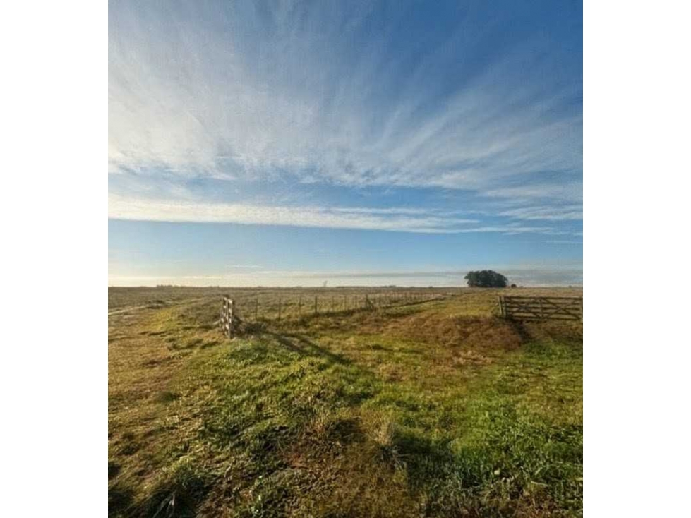 CAMPO 88 HECTAREAS AGRICOLA, AYACUCHO, BUENOS AIRES, ARGENTINA - 1