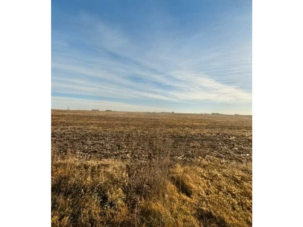 CAMPO 88 HECTAREAS AGRICOLA, AYACUCHO, BUENOS AIRES, ARGENTINA - 3