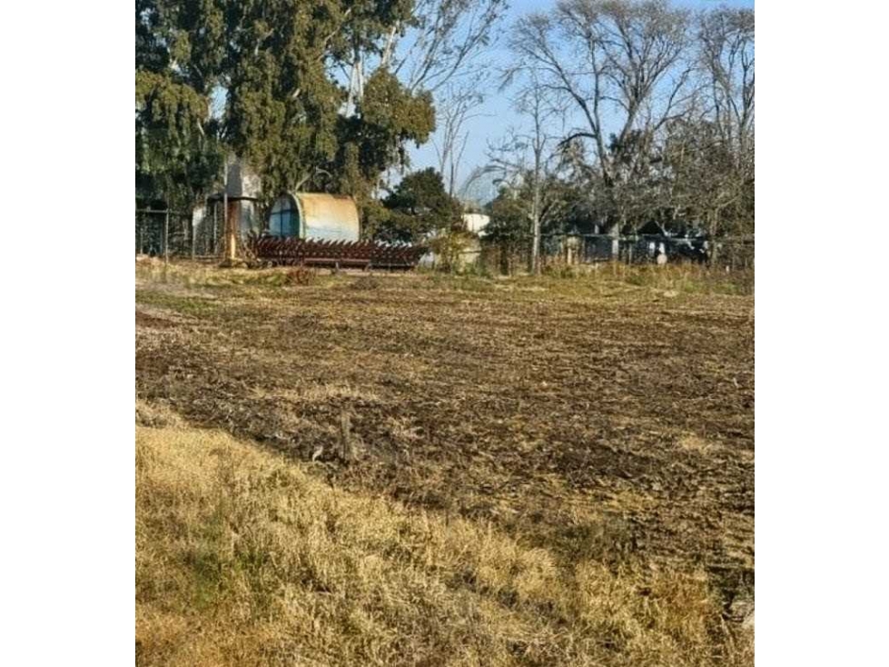 CAMPO 88 HECTAREAS AGRICOLA, AYACUCHO, BUENOS AIRES, ARGENTINA - 5