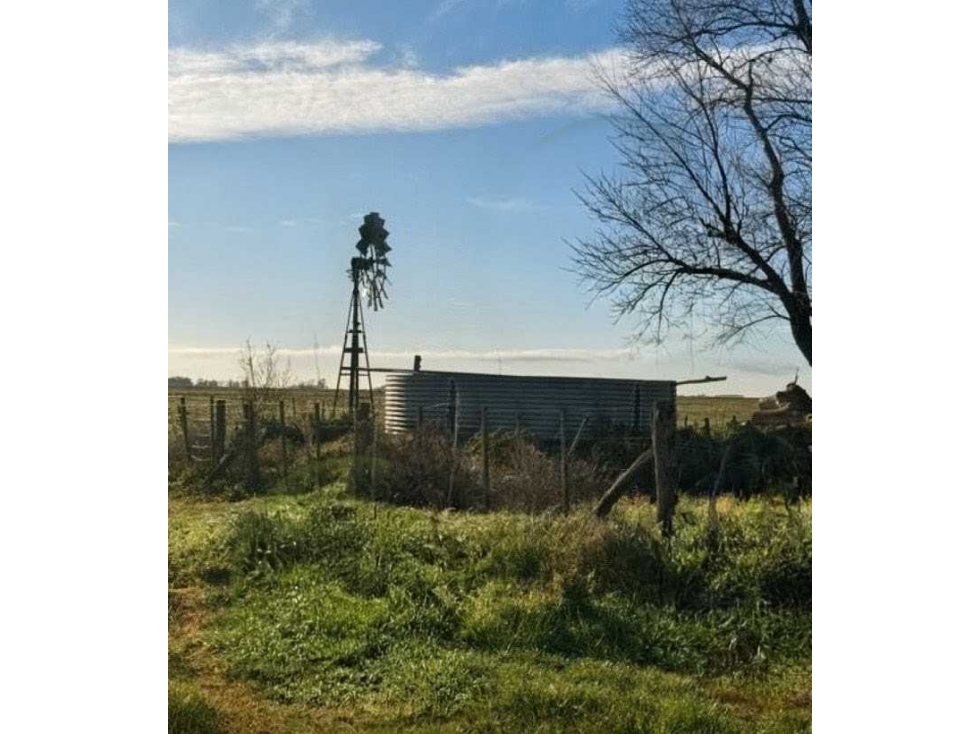 CAMPO 88 HECTAREAS AGRICOLA, AYACUCHO, BUENOS AIRES, ARGENTINA - 6