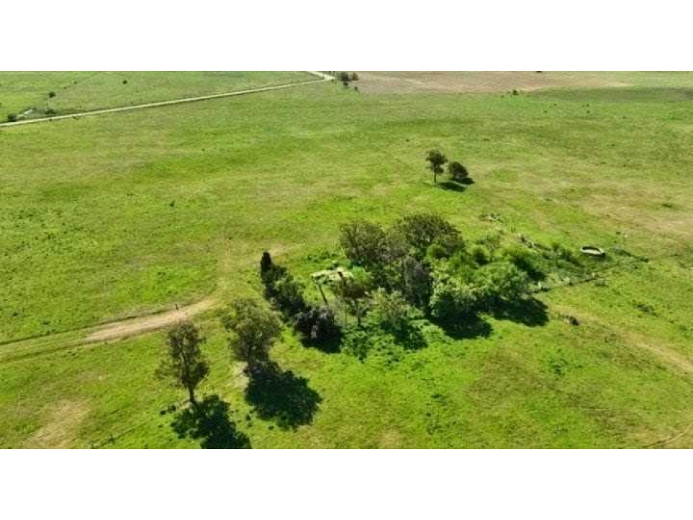 CAMPO 88 HECTAREAS, MIXTO, CAÑUELAS, BUENOS AIRES, ARGENTINA - 3
