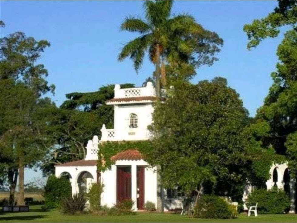 CAMPO 899 HECTAREAS, MIXTO, CHASCOMUS, BUENOS AIRES, ARGENTINA - 1