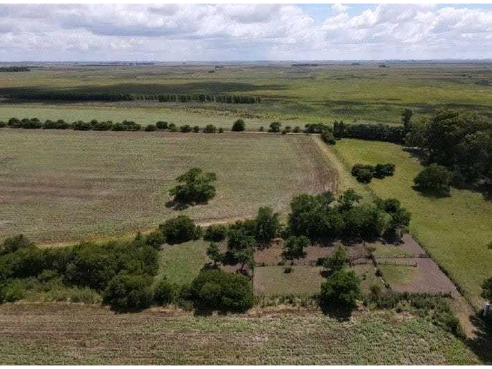 CAMPO 899 HECTAREAS, MIXTO, CHASCOMUS, BUENOS AIRES, ARGENTINA - 5