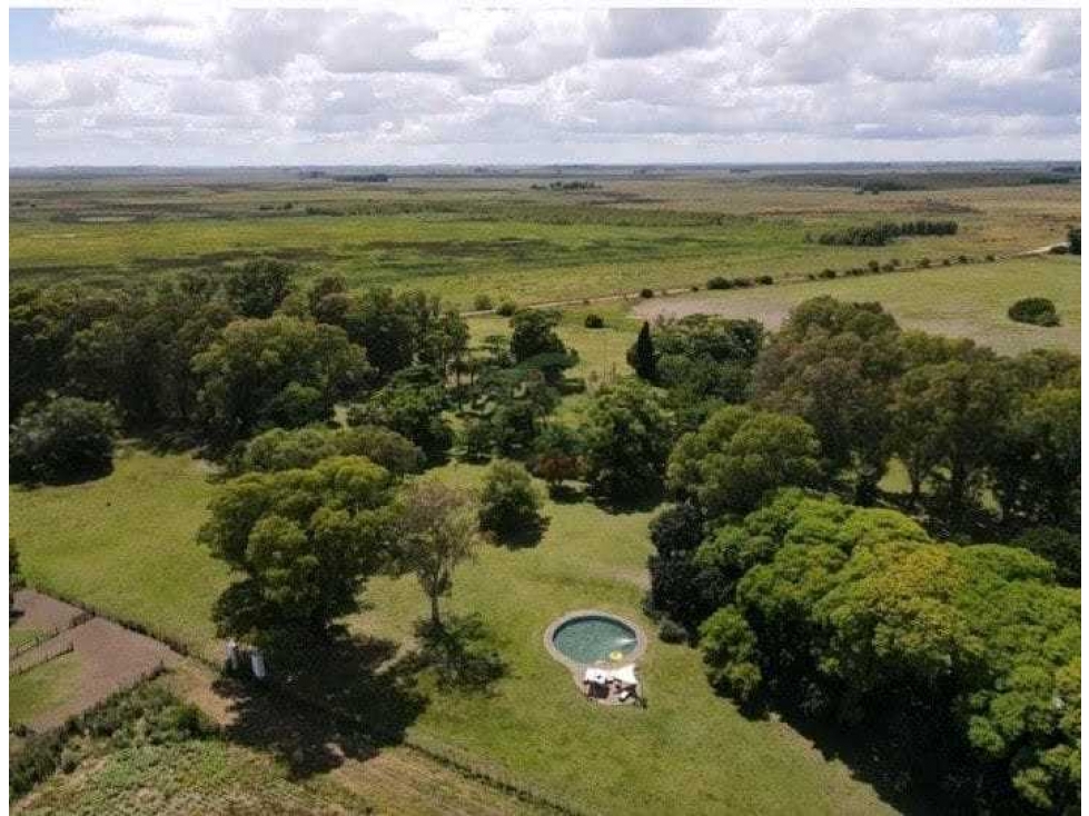 CAMPO 899 HECTAREAS, MIXTO, CHASCOMUS, BUENOS AIRES, ARGENTINA - 6