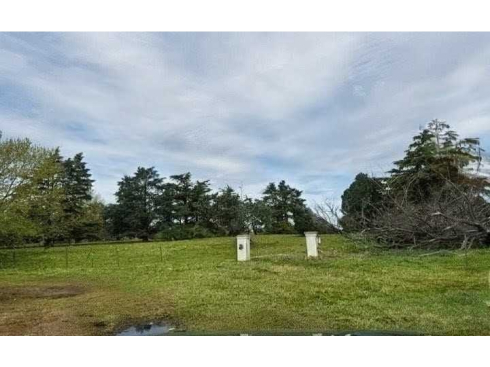 CAMPO 905 HECTAREAS, MIXTO, BOLIVAR, BUENOS AIRES, ARGENTINA - 6