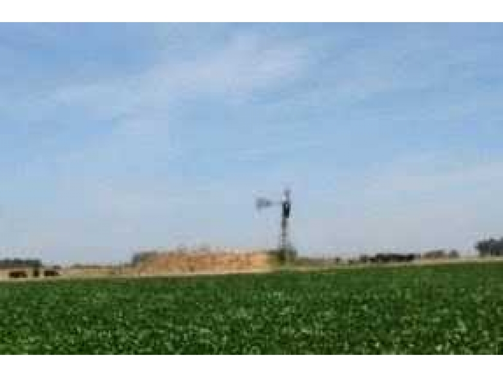 CAMPO 90 HECTAREAS, MIXTO, PUEBLITOS, BUENOS AIRES, ARGENTINA - 3