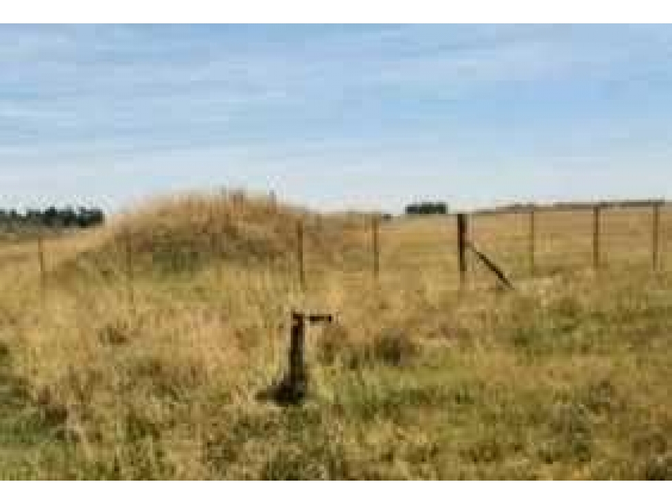 CAMPO 90 HECTAREAS, MIXTO, PUEBLITOS, BUENOS AIRES, ARGENTINA - 6
