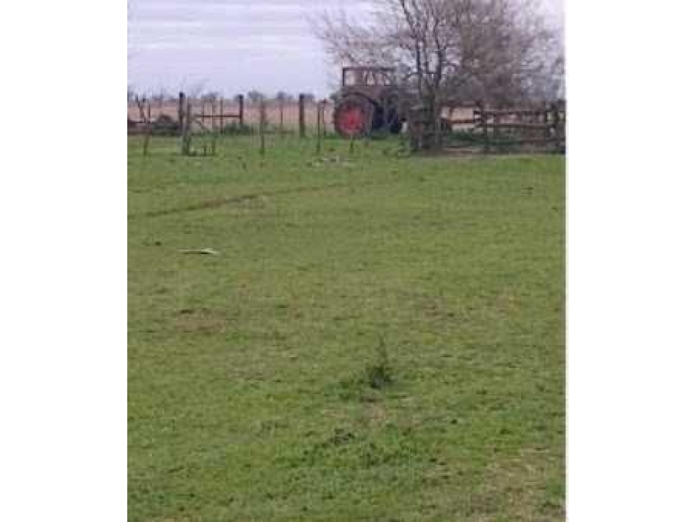 CAMPO 92 HECTAREAS, AGRICOLA, CHASCOMUS, BUENOS AIRES, ARGENTINA - 3