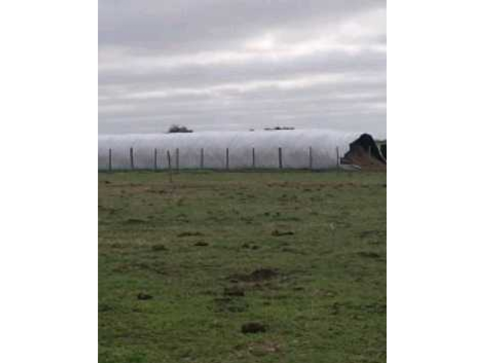 CAMPO 92 HECTAREAS, AGRICOLA, CHASCOMUS, BUENOS AIRES, ARGENTINA - 5