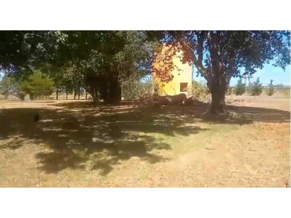 CAMPO 935 HAS MIXTO, NOGOYA, PCIA.ENTRE RIOS, ARGENTINA - 3