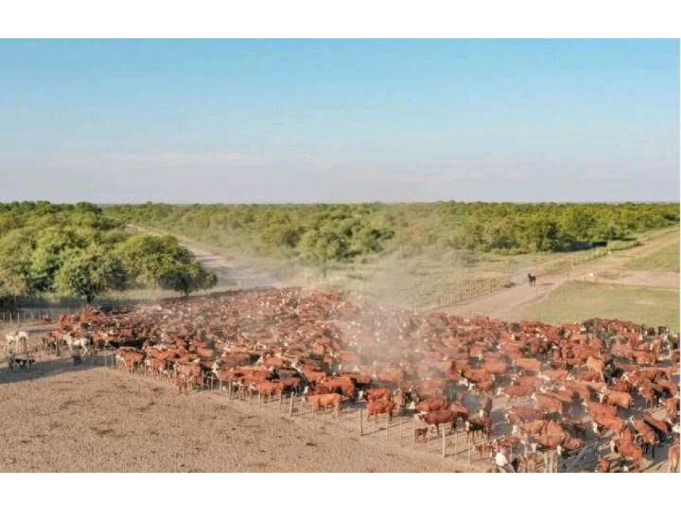 CAMPO 9389 HECTAREAS, MIXTO, GIMENEZ, SANTIAGO DEL ESTERO, ARGENTINA - 2