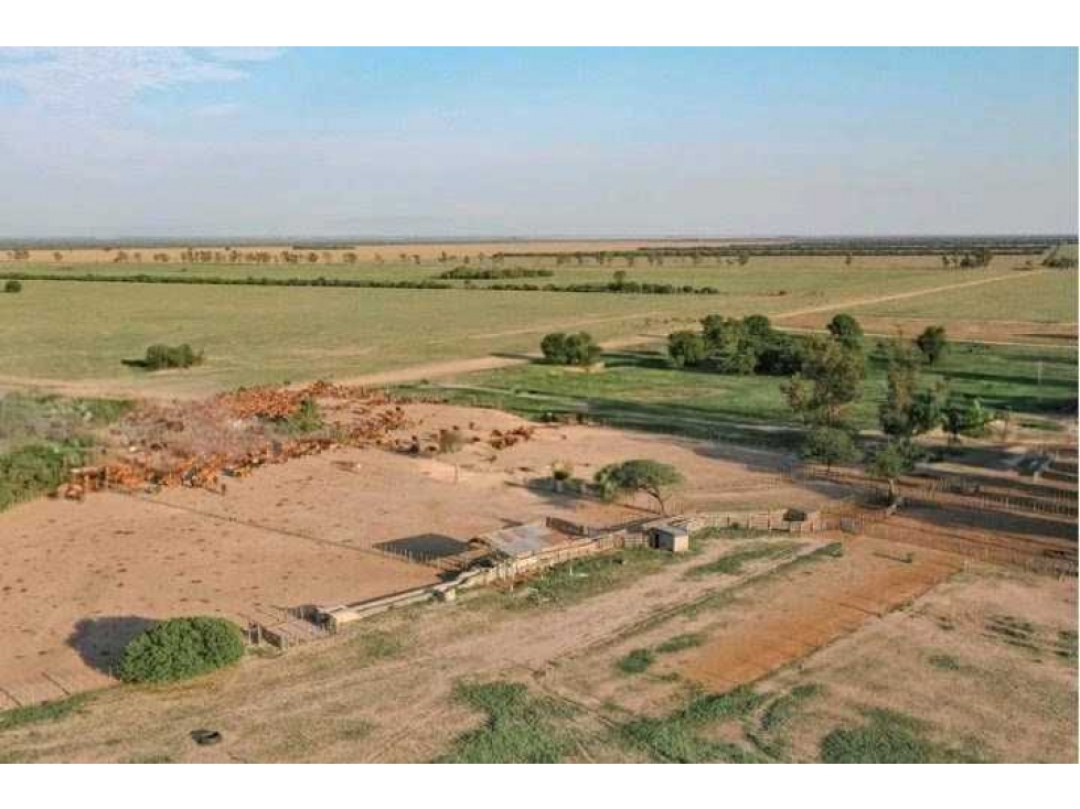 CAMPO 9389 HECTAREAS, MIXTO, GIMENEZ, SANTIAGO DEL ESTERO, ARGENTINA - 3
