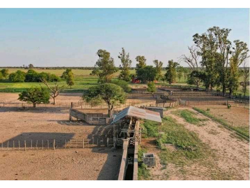 CAMPO 9389 HECTAREAS, MIXTO, GIMENEZ, SANTIAGO DEL ESTERO, ARGENTINA - 4