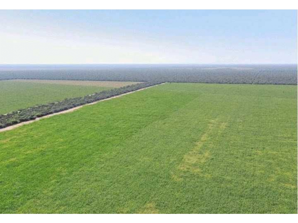 CAMPO 9389 HECTAREAS, MIXTO, GIMENEZ, SANTIAGO DEL ESTERO, ARGENTINA - 6