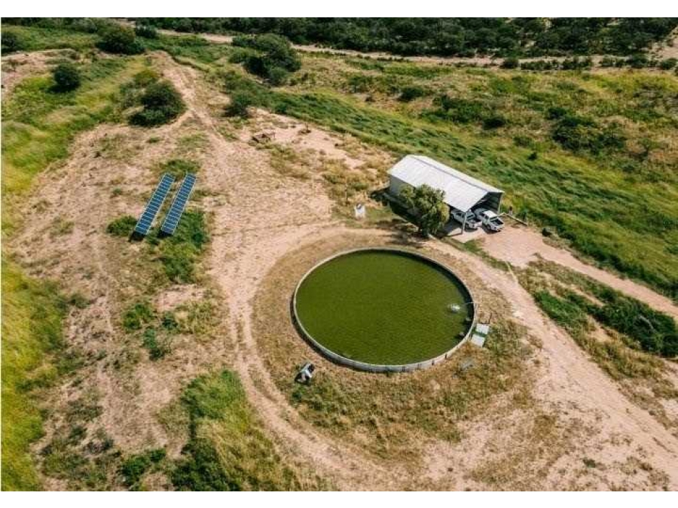 CAMPO 9391 HECTAREAS, MIXTO, SANTIAGO DEL ESTERO, ARGENTINA - 4