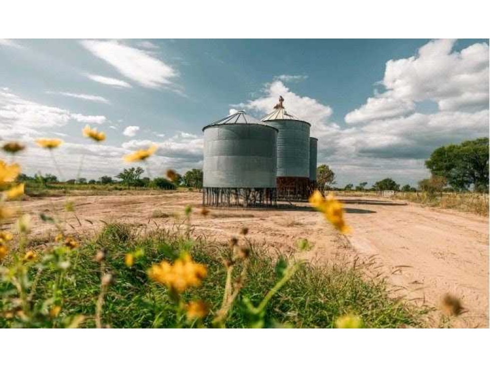 CAMPO 9391 HECTAREAS, MIXTO, SANTIAGO DEL ESTERO, ARGENTINA - 6
