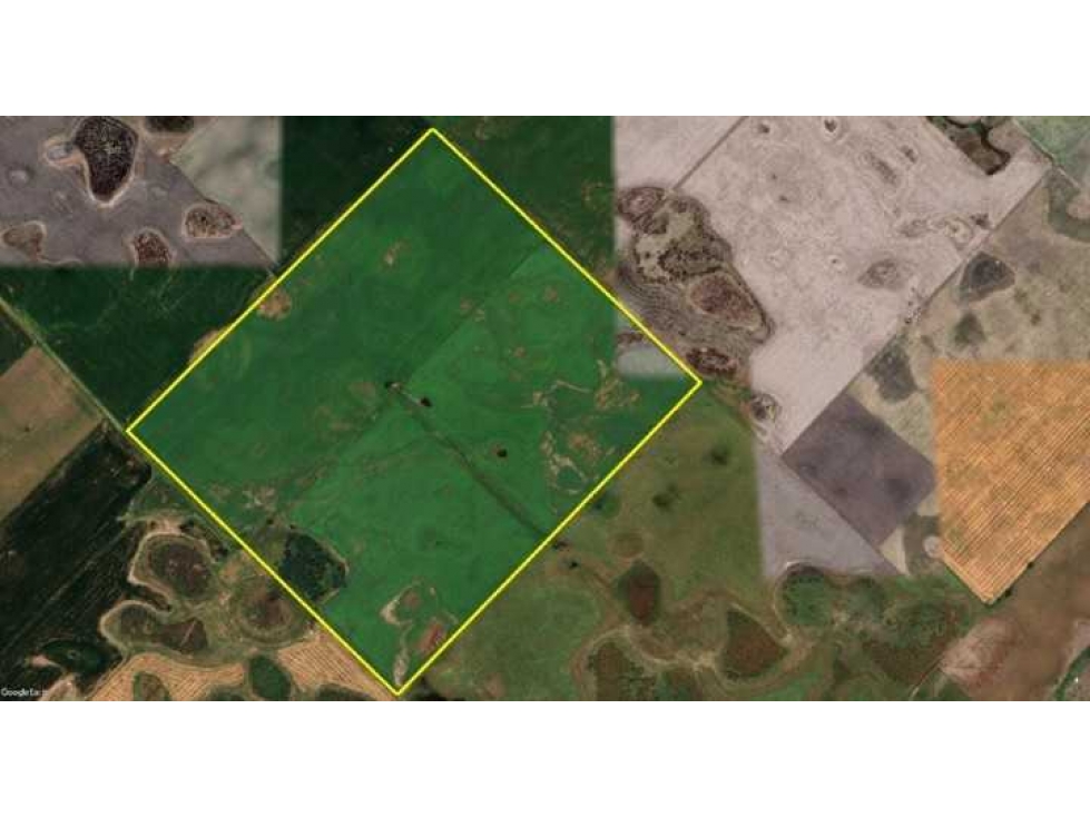 CAMPO 94 HECTAREAS, AGRICOLA, BOLIVAR, BUENOS AIRES, ARGENTINA - 2
