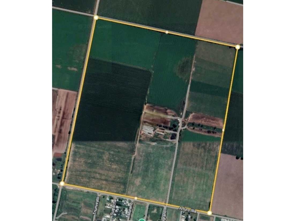 CAMPO 95 HECTAREAS, AGRICOLAS, LEHMAN, SANTA FE, ARGENTINA - 2