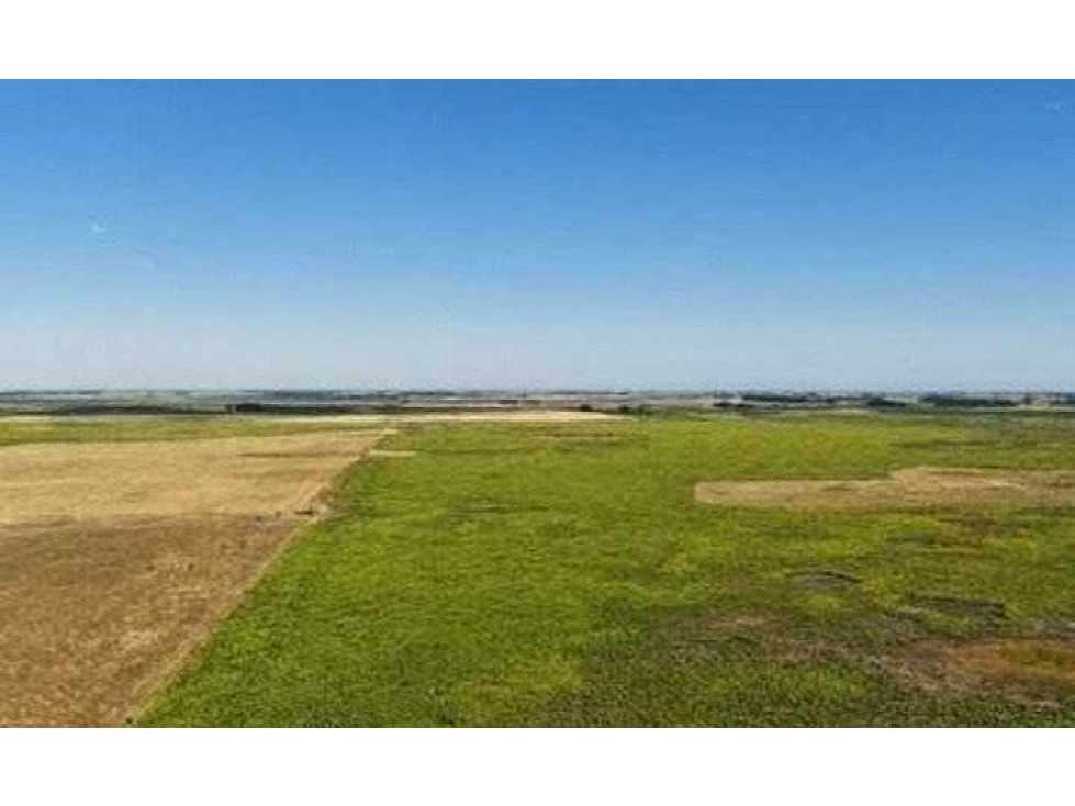 CAMPO 965 HECTAREAS, MIXTO, LOBERIA, BUENOS AIRES, ARGENTINA - 5