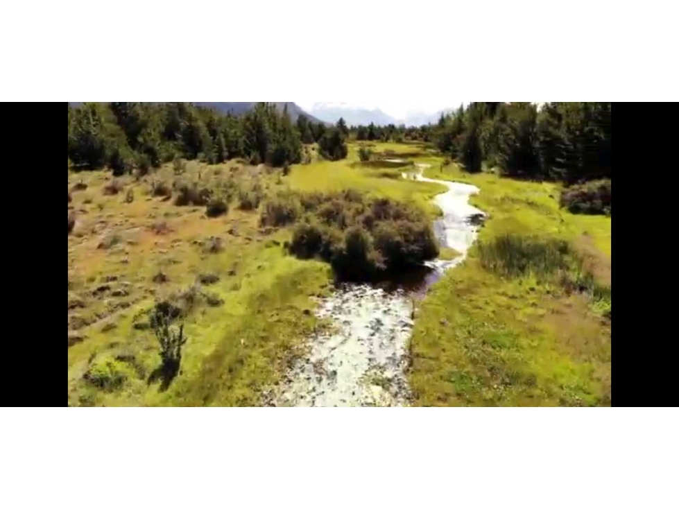 CAMPO 97 HECTAREAS, EL BOLSON, RIO NEGRO, ARGENTINA - 3