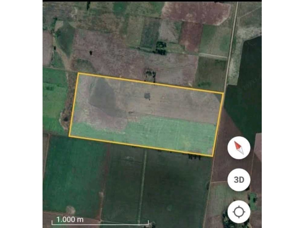 CAMPO 99 HECTAREAS, AGRICOLA, SUIPACHA, BUENOS AIRES, ARGENTINA - 4