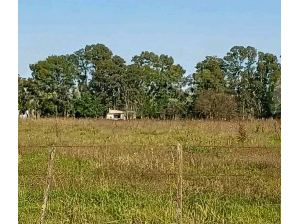 CAMPO 99 HECTAREAS, MIXTO, AZUL, BUENOS AIRES, ARGENTINA - 1