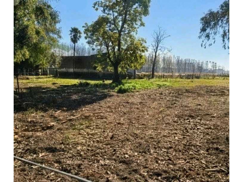 CAMPO 99 HECTAREAS, MIXTO, AZUL, BUENOS AIRES, ARGENTINA - 2