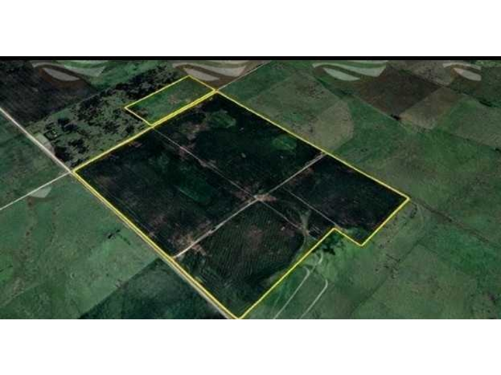 CAMPO 99 HECTAREAS, MIXTO, AZUL, BUENOS AIRES, ARGENTINA - 4